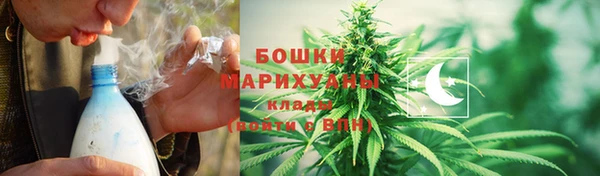 сатива Абаза