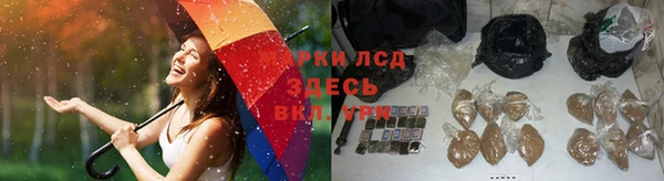 сатива Абаза