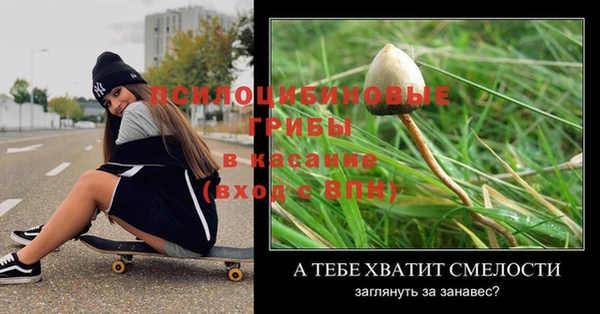 хмурый Алзамай