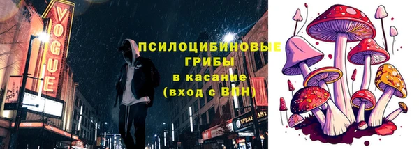 сатива Абаза