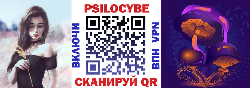 купить наркотики сайты Чекалин Псилоцибиновые грибы MAGIC MUSHROOMS